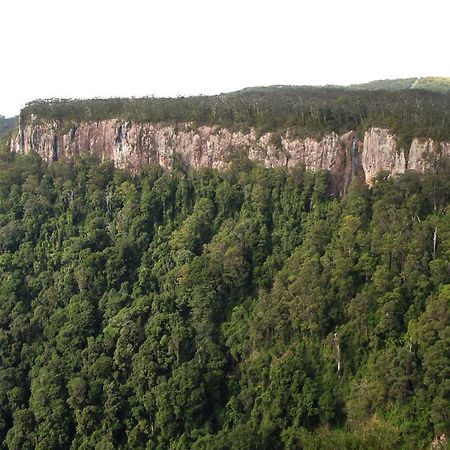 Springbrook Lyrebird Retreat Villa Buitenkant foto