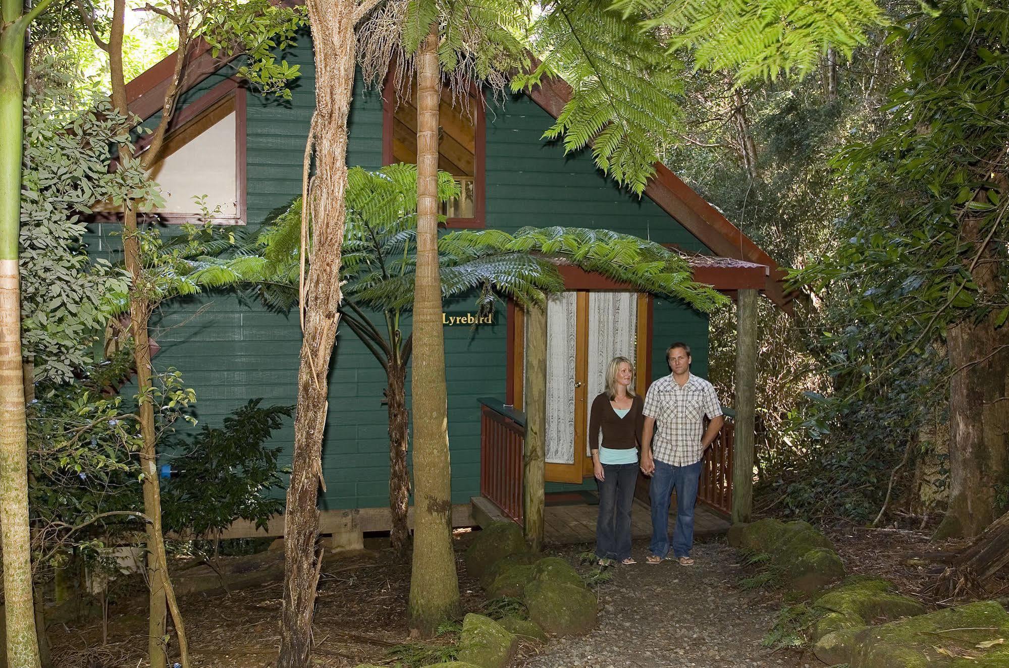 Springbrook Lyrebird Retreat Villa Buitenkant foto