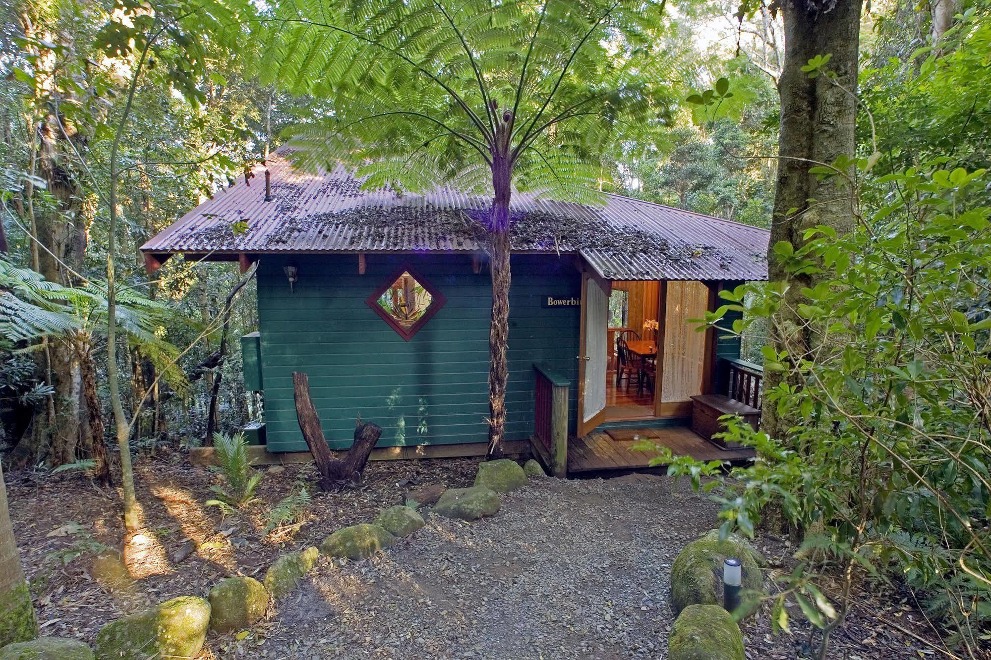 Springbrook Lyrebird Retreat Villa Buitenkant foto