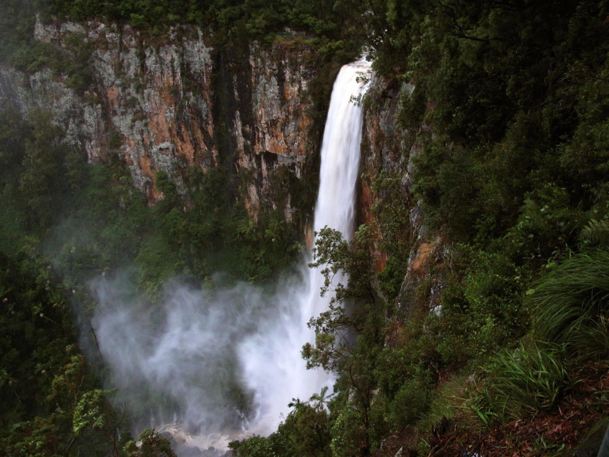 Springbrook Lyrebird Retreat Villa Buitenkant foto