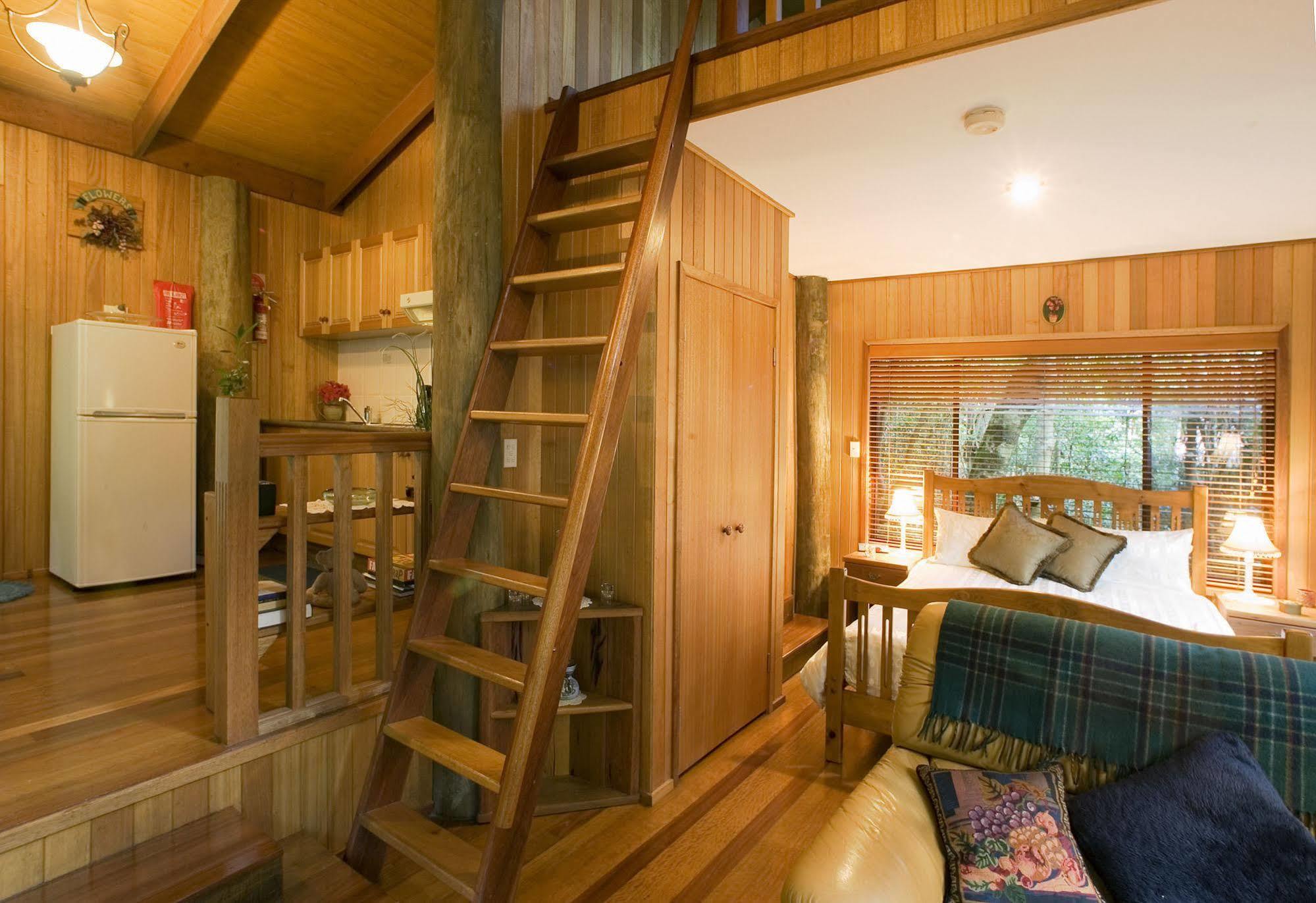 Springbrook Lyrebird Retreat Villa Buitenkant foto