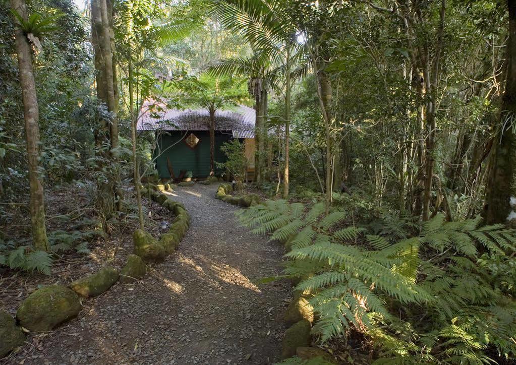 Springbrook Lyrebird Retreat Villa Buitenkant foto