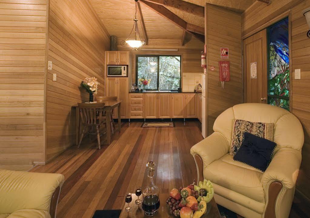 Springbrook Lyrebird Retreat Villa Buitenkant foto
