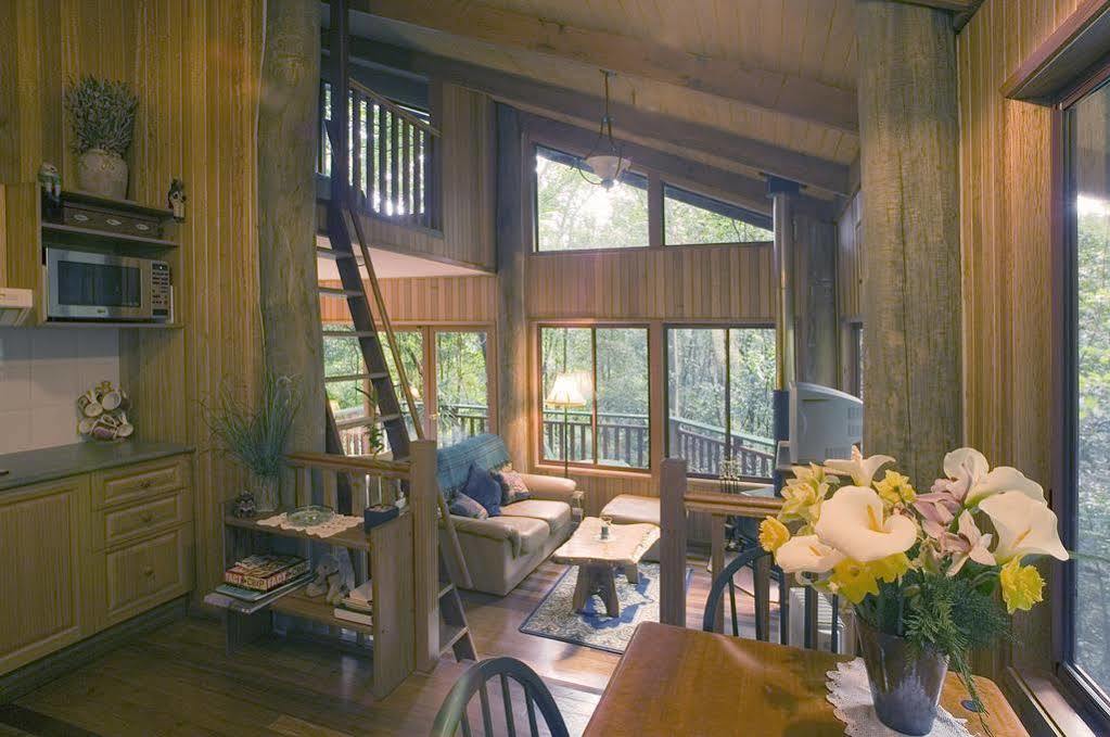Springbrook Lyrebird Retreat Villa Buitenkant foto